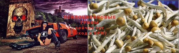 кокс Алзамай