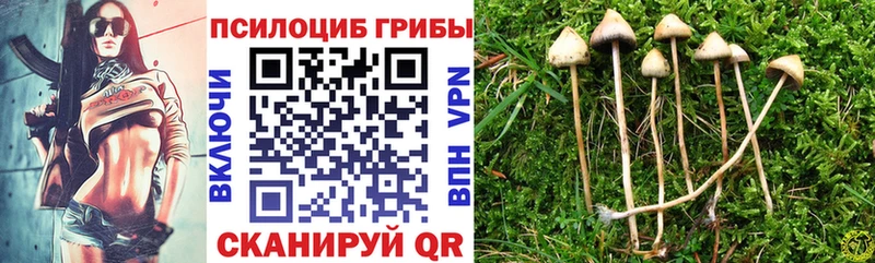 Купить закладки Крым Галлюциногенные грибы GOLDEN TEACHER